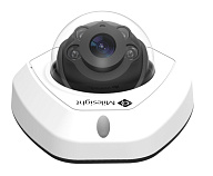 Антивандальная IP-камера Milesight MS-C4473-PB